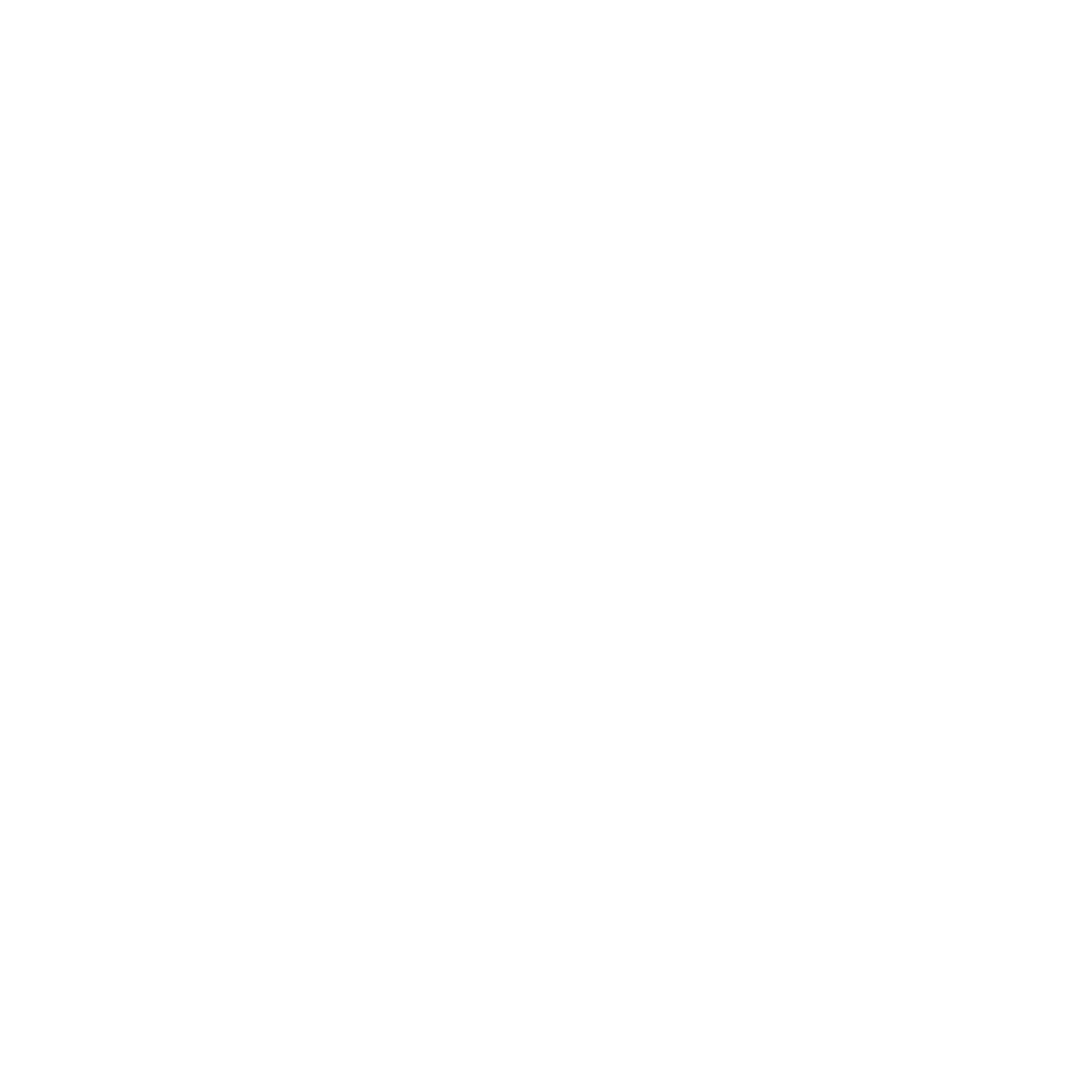 AI Solutions — Anton Majboroda